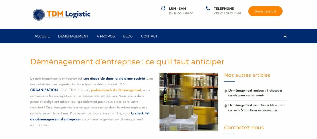 Exemple d'article SEO pour le site internet d'un client dans le déménagement : TDM Logistic.